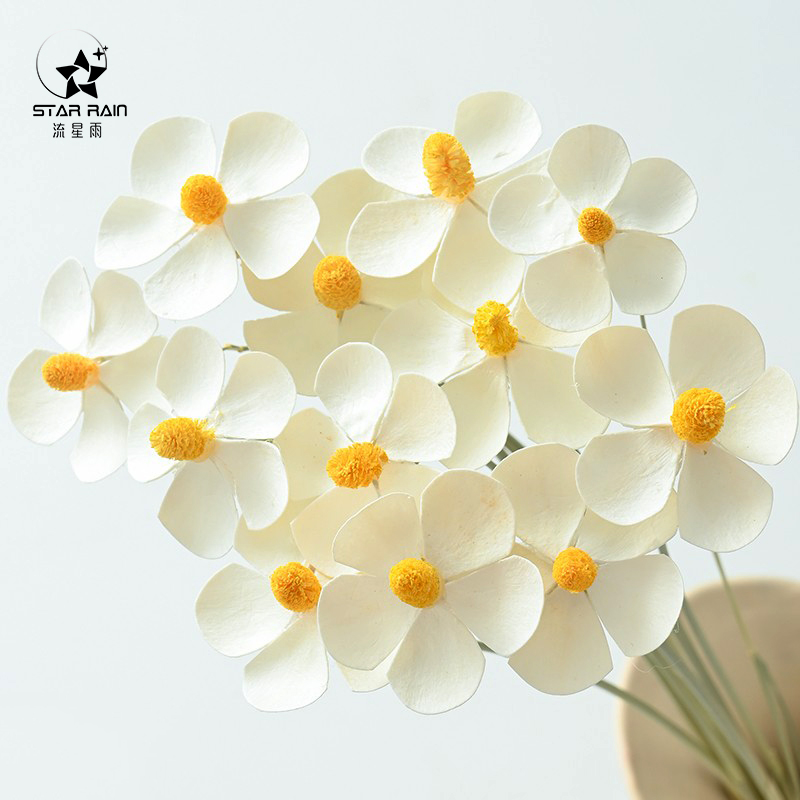 流星雨云南天然紫罗兰手工干花