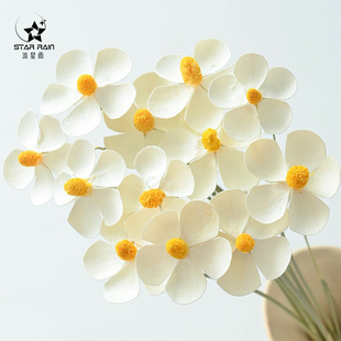 云南天然紫罗兰手工干花白色永生花真花鲜花花束包装 饰材料 花艺装