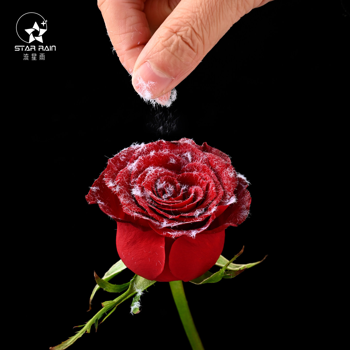 流星雨玫瑰植绒粉毛绒粉雪粉鲜花花束配饰装饰diy材料花艺资材,鲜花速递/花卉仿真/绿植园艺,花艺材料,淘宝优惠券,粉丝福利购,淘宝优惠卷