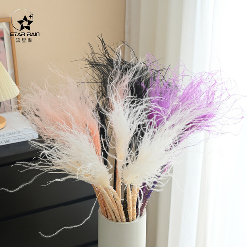 流星雨羽毛草干花真花永生花