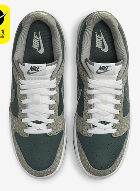 Nike/耐克正品 Dunk Low 男士复古低帮休闲板鞋HF4878-053