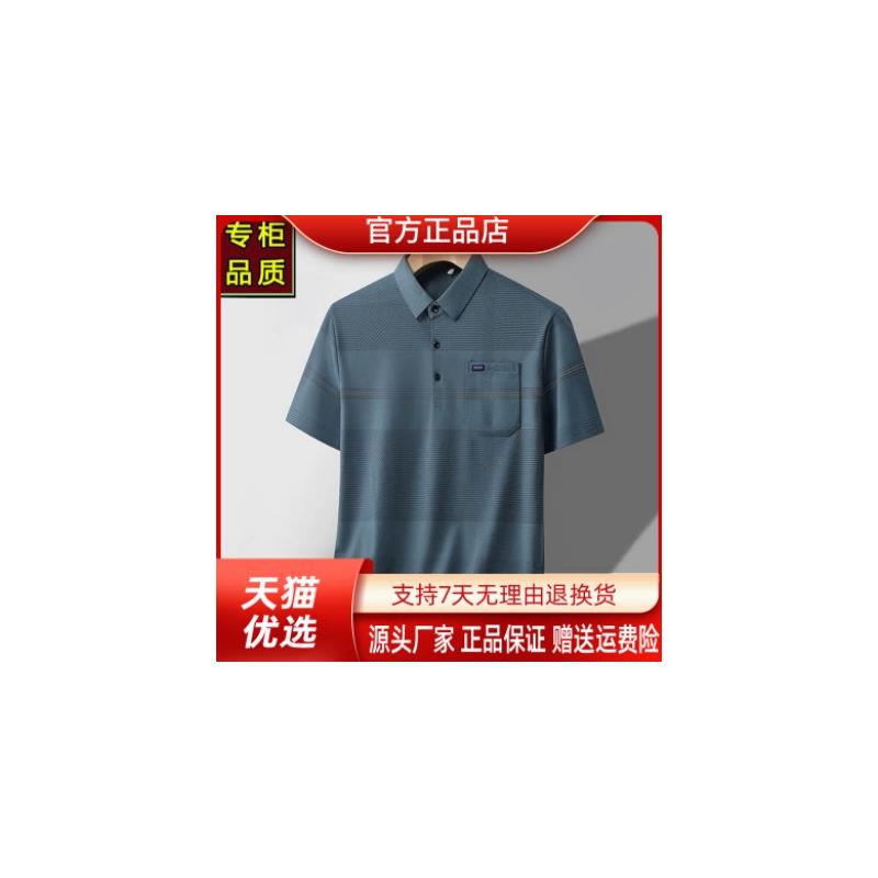 简居轻奢爸爸装短袖t恤男士夏polo衫短袖中老年人T恤爷爷夏装上衣