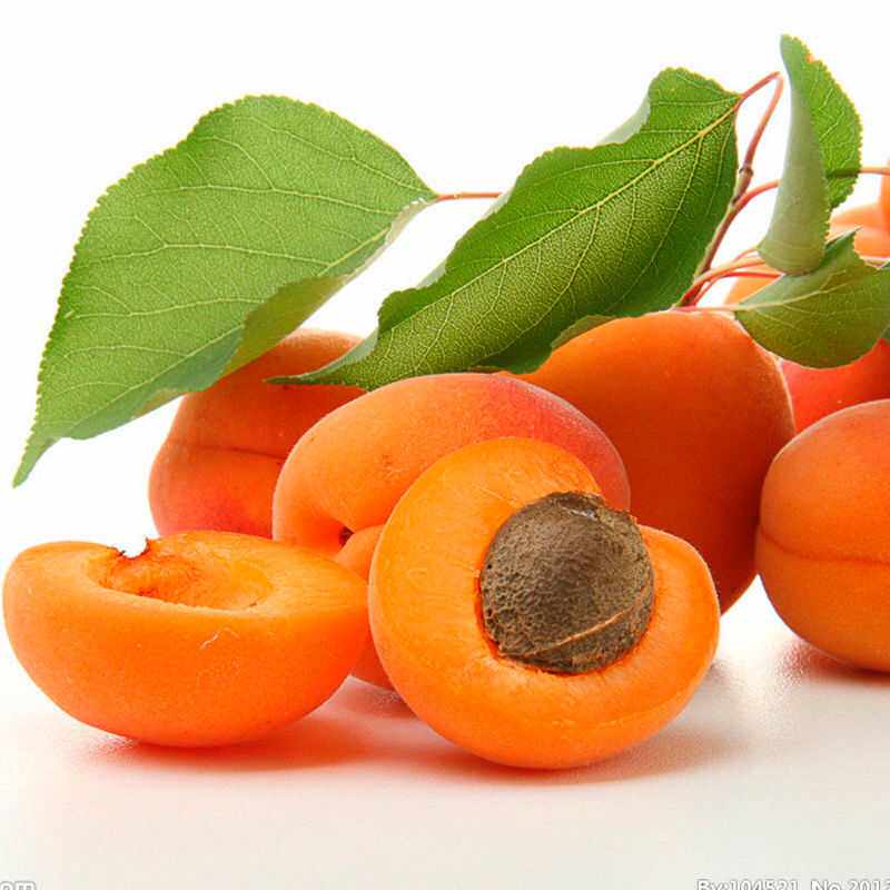 大黄杏现货新货2025新鲜杏子木瓜杏干天然无核杏肉孕妇酸甜杏干