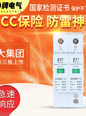 D牌chdele 浪涌保护器SPD家用防雷电涌 40KA 2P ADM5避雷器220v