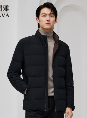 斯得雅立领羽绒服男2024新款冬季商务休闲中年百搭加厚保暖外套男