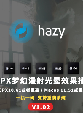 FCPX FilmConvert Hazy 梦幻柔光漫射光晕效果插件