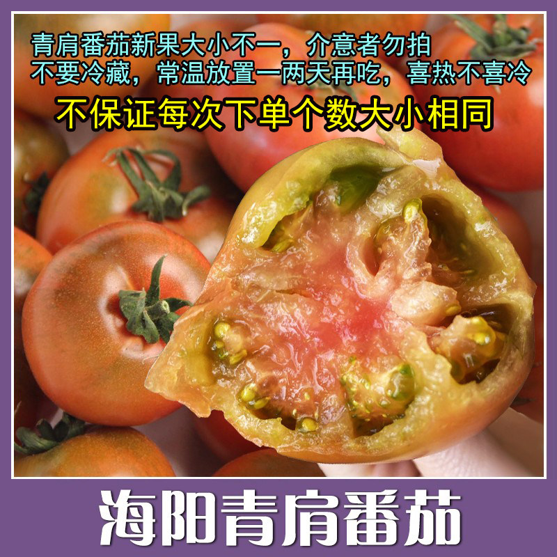 骀嫂山东海阳青肩番茄绿腚西红柿+白玉黄瓜2026新鲜采摘发货包邮