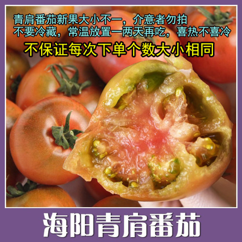 骀嫂山东海阳青肩番茄绿腚西红柿+白玉黄瓜2026新鲜采摘发货包邮