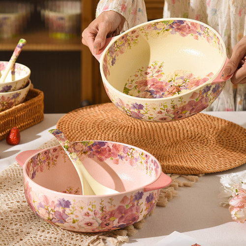 10英寸双耳汤碗家用2025新款大号