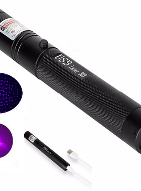 USB Laser303满天星单点绿色红色紫色激光售楼开会教鞭笔定制LOGO