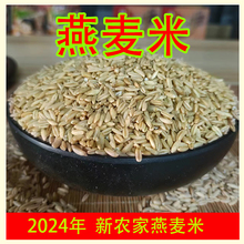 燕麦米山西2024年新米糙米婴儿辅食全胚芽优质农家自种自产3斤装