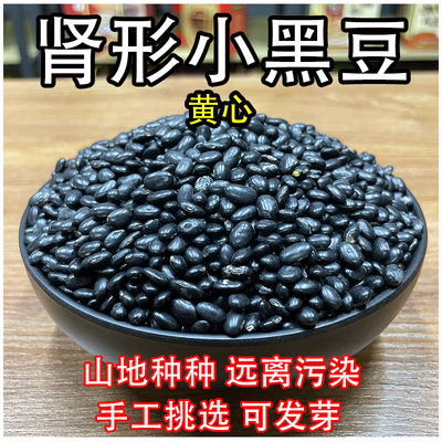 农家黄心肾形小黑豆农家自种打豆浆专用优黄芯杂粮散装1斤