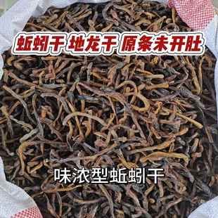 蚯蚓干 地龙干曲蟮 野生黑蚯蚓干臭蚯蚓青蚯蚓鱼饵 饵料 黄鳝诱饵