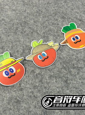 反光磁吸电动汽车冰箱贴五月天演唱会粉丝应援物海贼王草帽卜9285