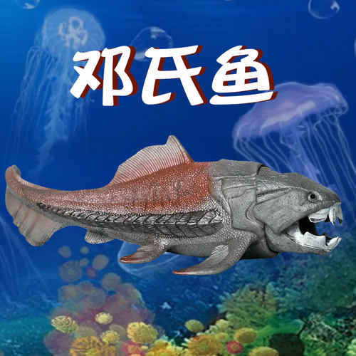 静态实心硬塑胶仿真海洋动物模型