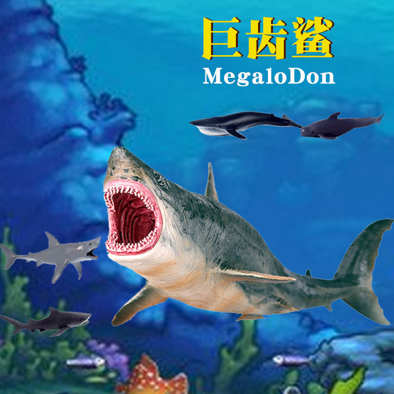 模型空心巨齿锤头鲨男孩海洋动物