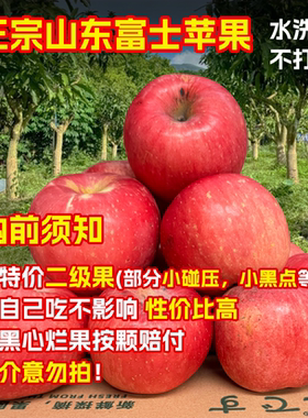 特价山东富士苹果脆甜爆汁