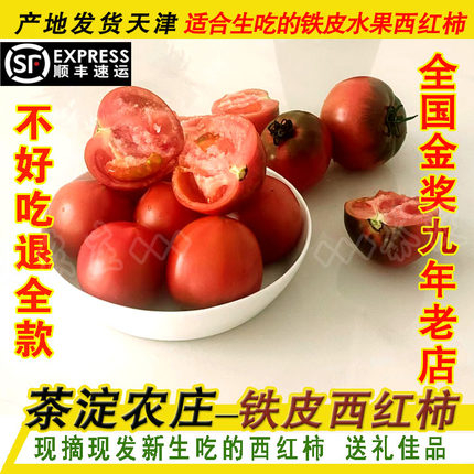 茶淀农庄-天津汉沽茶淀玫现摘新鲜铁皮水果西红柿番茄京津冀包