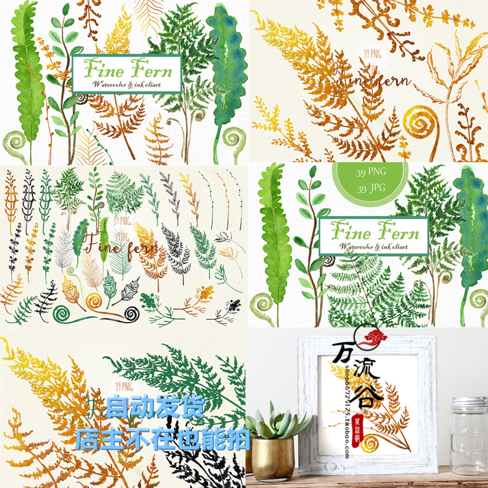 唯美清新手绘蕨类植物叶子绿色黄色枯叶贺卡片图 png免扣设计素材