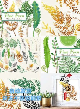 唯美清新手绘蕨类植物叶子绿色黄色枯叶贺卡片图 PNG免扣设计素材