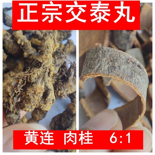 黄连6：1肉桂正宗交泰丸+交合汤