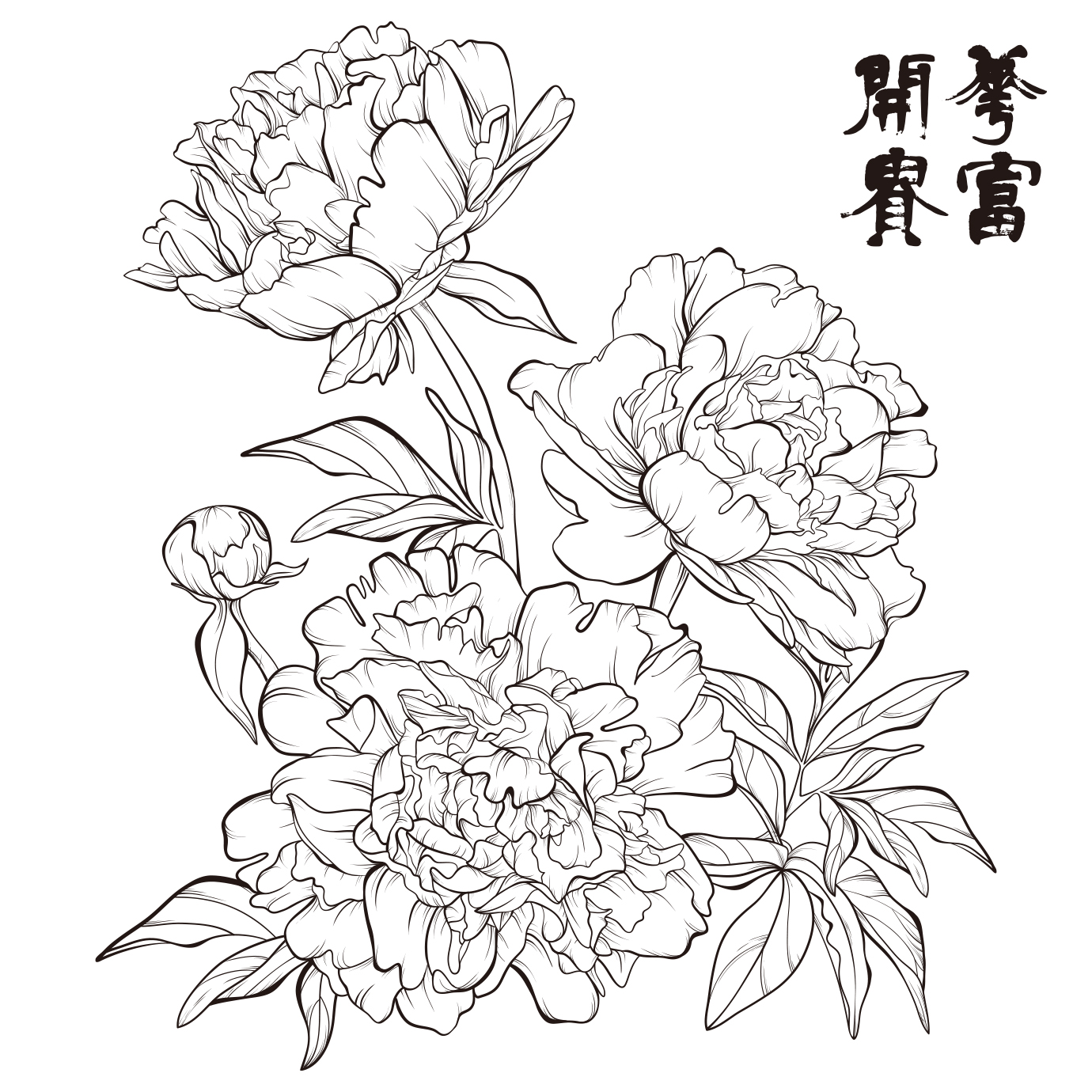 牡丹图转印贴拓印稿花中之王