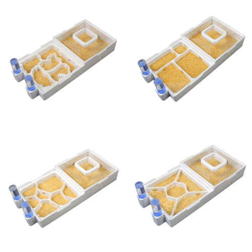 平面蚁巢3d打印蚂蚁大型巢铺地蚂蚁工坊蚂蚁城堡蚂蚁宠物魔神蚂蚁