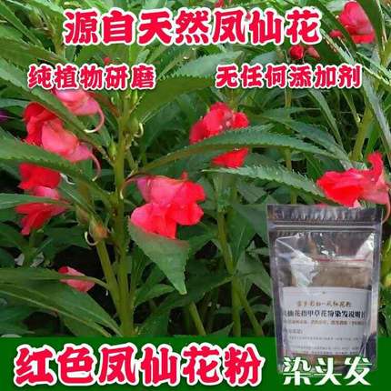 天然凤仙花粉染头发剂灰指甲指甲草纯植物正品海纳膏遮白发酒红色