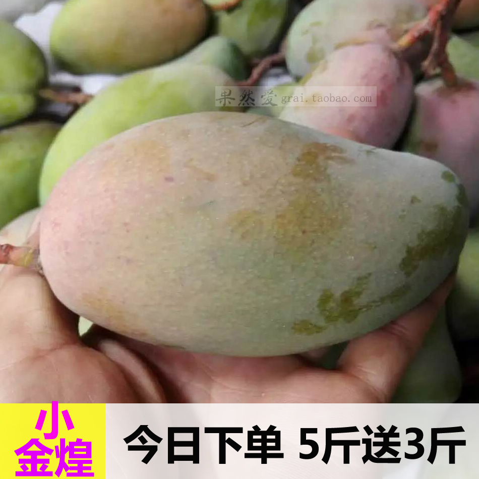 攀枝花芒果大青芒四小青芒金煌芒果甜心芒凱特小金煌新鮮8斤包郵
