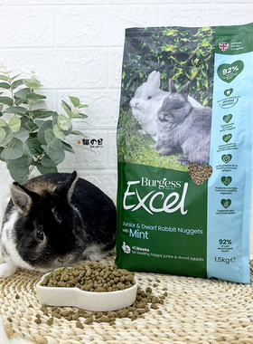 英国布格斯幼兔粮Burgess进口侏儒兔主饲料益格无糖适口性好
