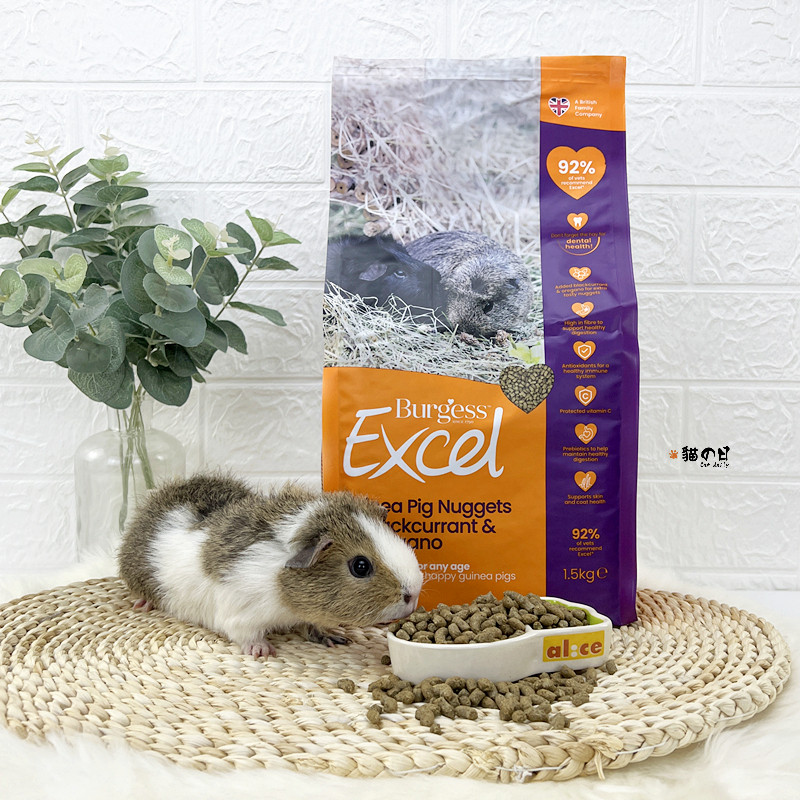 布格斯豚鼠粮英国Burgess荷兰猪天竺鼠葵鼠饲料黑加仑维生素C新版
