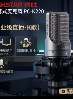 得胜电容麦克风唱歌话筒悬挂式麦