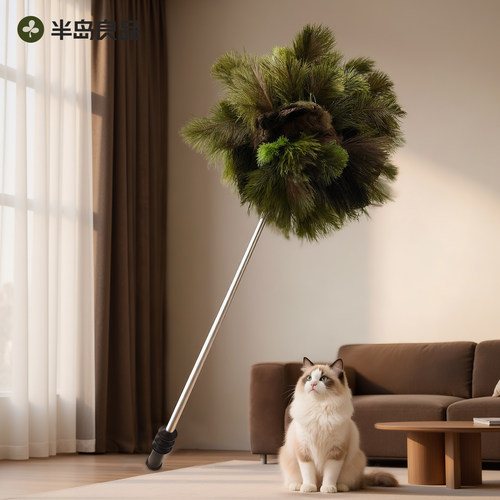 【新家100个快递】鸵鸟毛除尘掸