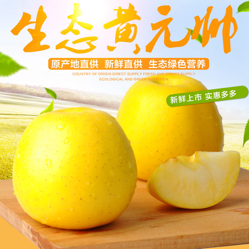 新鲜水果甘肃黄元帅苹果应季粉面苹果