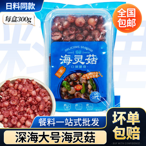 深海海灵菇大号300g鱿鱼吸盘