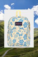 Jansport/杰斯伯 SuperBreak 26L 印花轻质舒适女士双肩背包