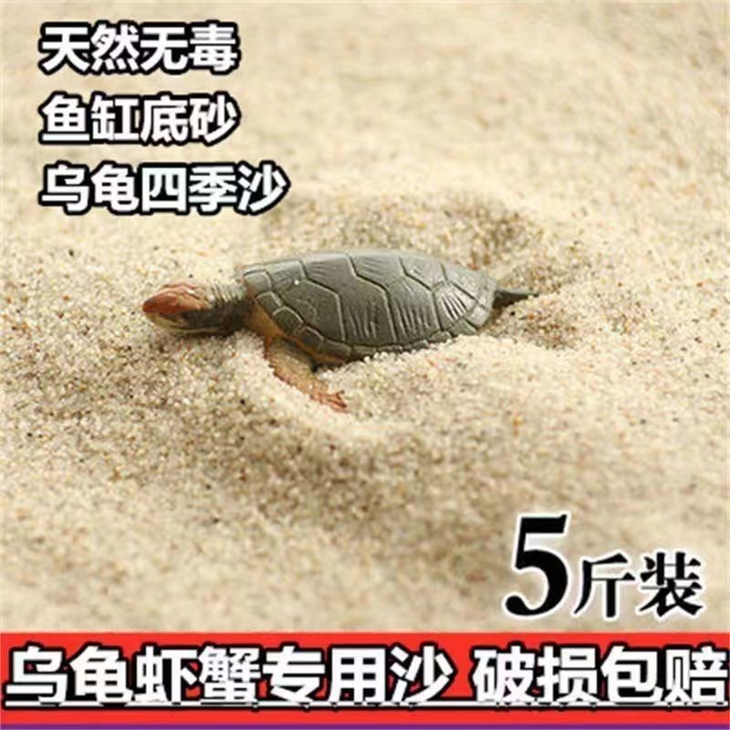 乌龟下蛋冬眠河沙鱼缸天然底砂孵化巴西龟沙子专用沙土