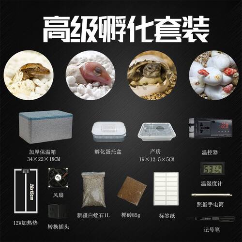爬宠孵化盒套装孵蛋器蛋