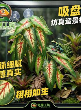 仿真龟背叶爬宠缸造景吸盘悬浮