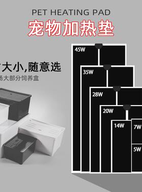 爬宠加热垫温控守宫角蛙