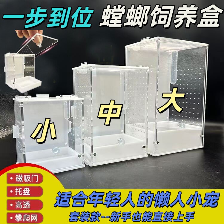 螳螂饲养盒蟋蟀蝈蝈攀爬网饲养箱图片