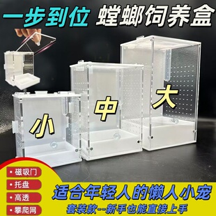 螳螂饲养盒桌面爬宠磁吸门攀爬网蟋蟀蝈蝈蛐蛐竹蛉蜈蚣蝎子饲养箱