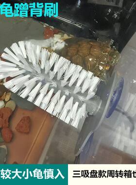 乌龟吸盘式刷背清洁神器蹭背刷