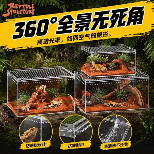 亚克力造型爬宠守宫蜥蜴