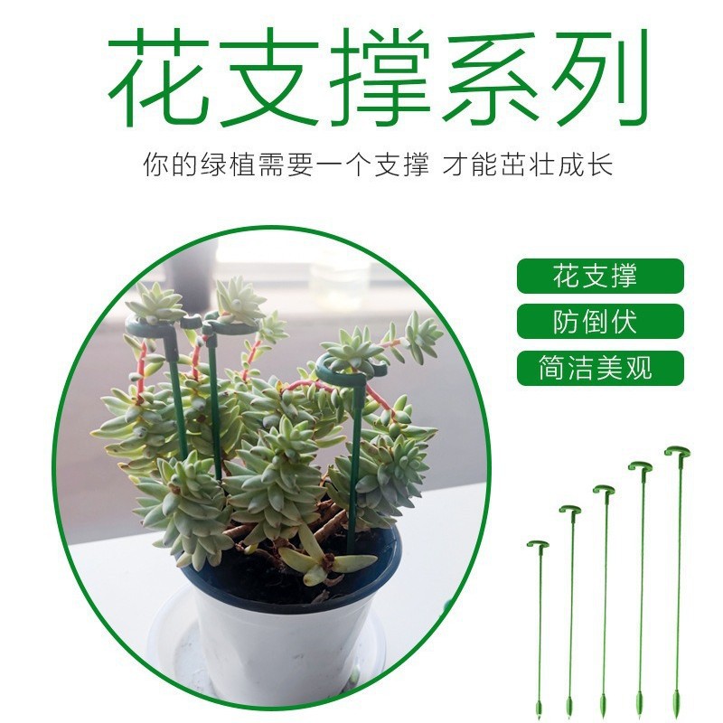 植物支撑杆花支架花卉绿植天堂鸟盆栽龟背竹支撑架海芋固定防倒