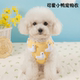 立体连衣裙春夏季 泰迪猫咪宠物衣服可爱卡通萌趣 狗衣服萌趣薄款