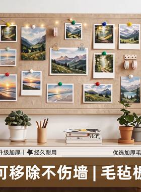 毛毡板墙贴高级感客厅玄关照片墙
