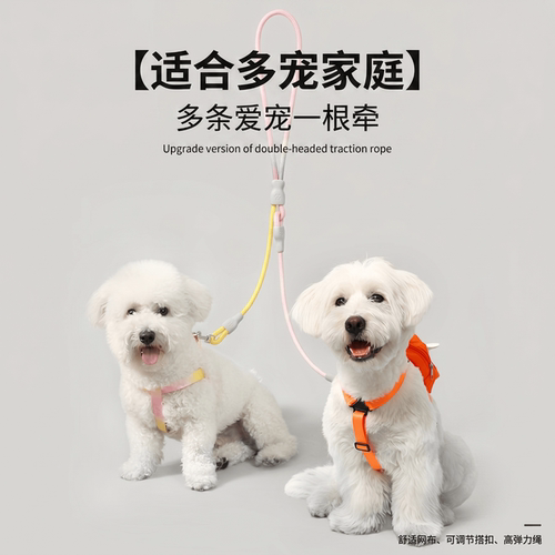新款一拖二宠物牵引绳｜防挣脱30