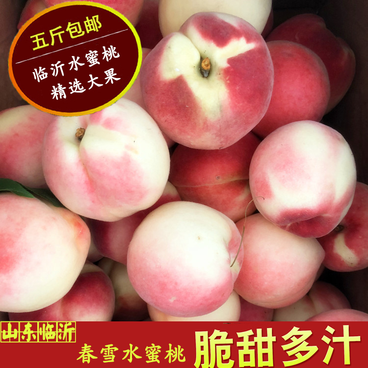 山东临沂春雪水蜜桃新鲜脆甜桃子山地农家现摘5斤孕妇时令水果|msdalam kategori daging perikanan/Buah-buahan segar dan sayur-sayuran/dimasak, buah-buahan segar, Peach - dari Buy2taobao.com untuk memberikan perkhidmatan ejen Taobao profesional membeli
