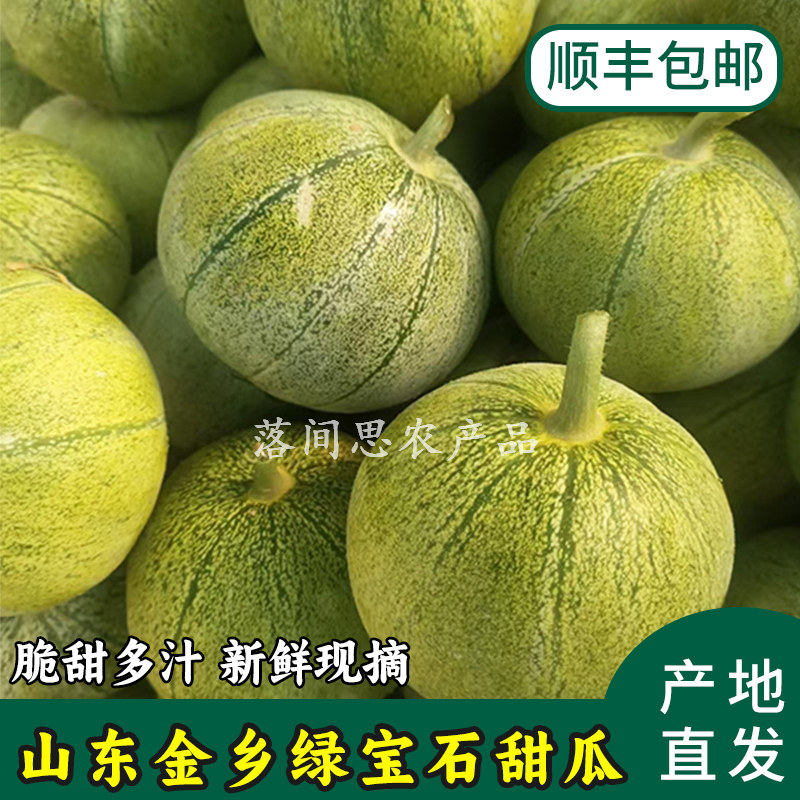 山东金乡绿宝石2号甜瓜当季新鲜现摘翡翠甜瓜青皮绿肉脆甜宝香瓜